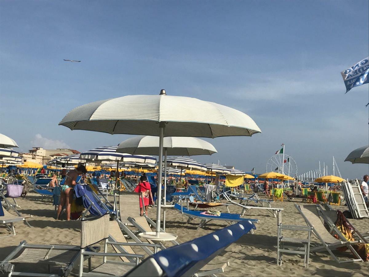 Casa Celeste Daire Viareggio Dış mekan fotoğraf